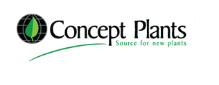 Concept Plants