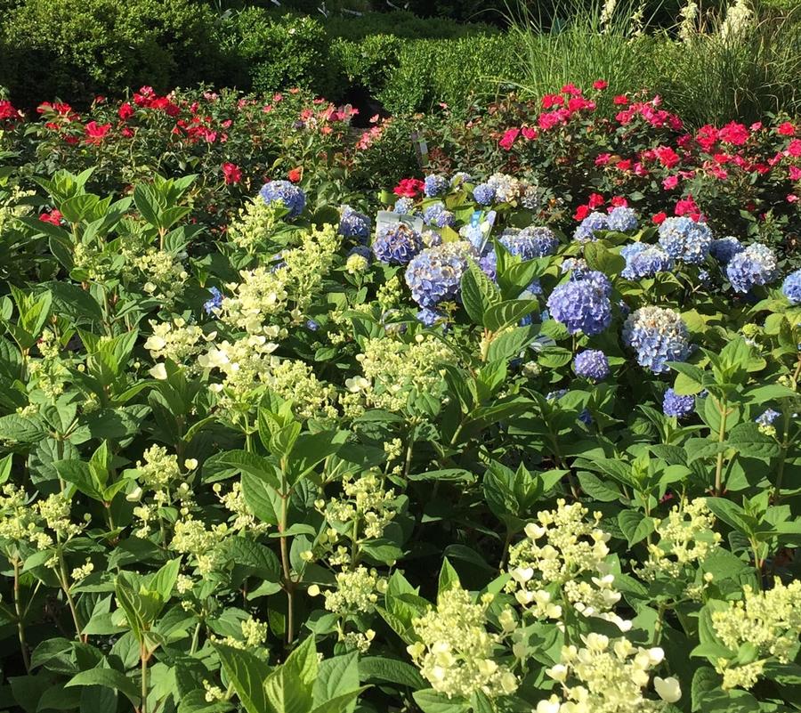 Everything For Your Planting Pleasure