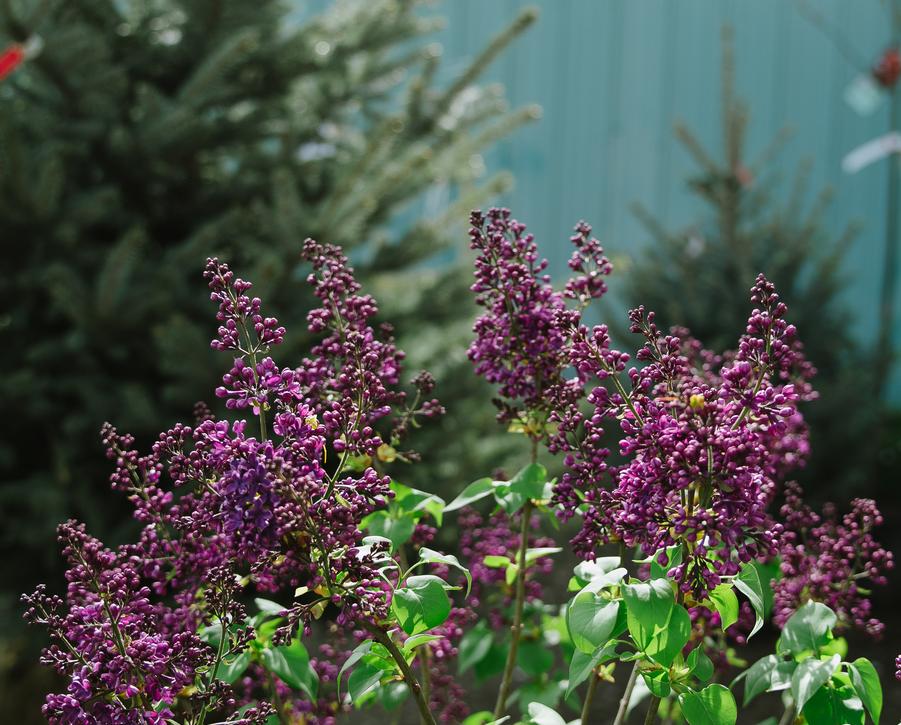 Our History Our History