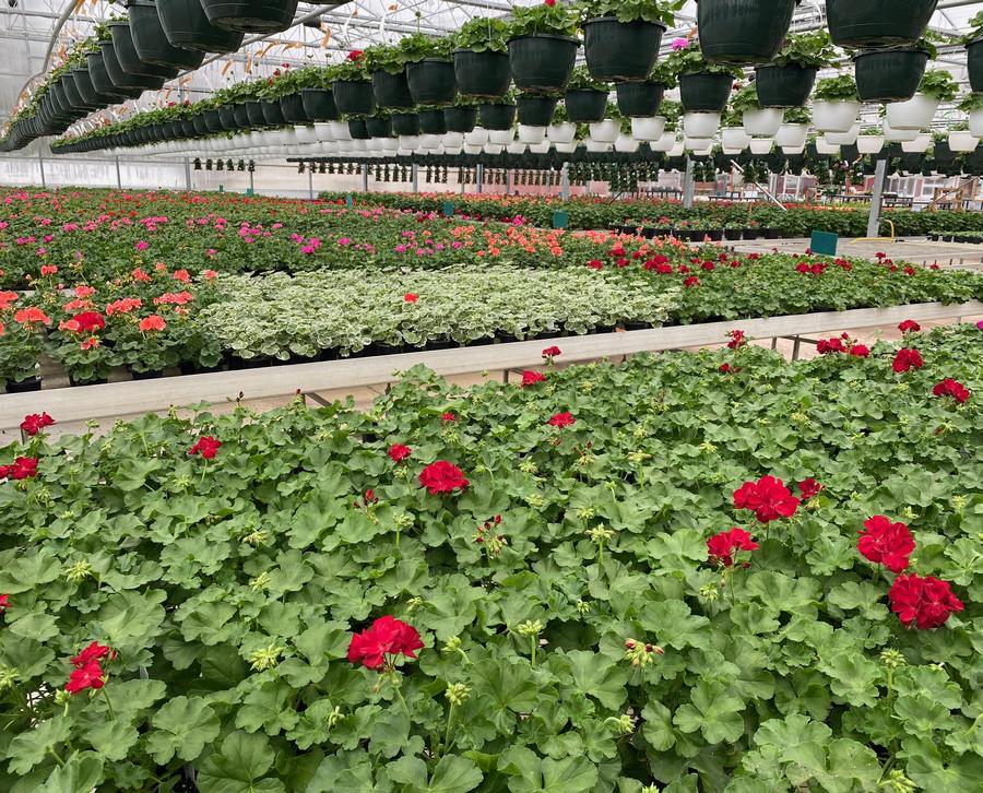 Garden Center Garden Center